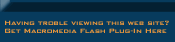 get Flash Player to view this page!